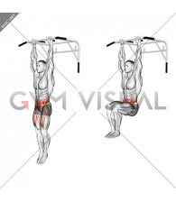 Hanging Knee Raise (male)