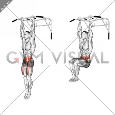 Hanging Knee Raise (male)
