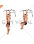 Hanging Knee Raise (male)