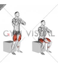 Bodyweight Box Squat
