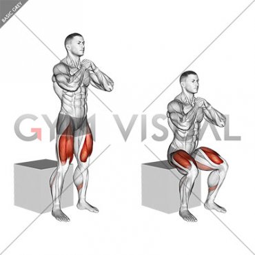 Bodyweight Box Squat