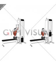 Cable Reverse Narrow grip Lat Pulldown (male)