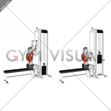 Cable Reverse Narrow grip Lat Pulldown (male)