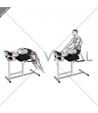 Glute Ham Developer Full Sit up
