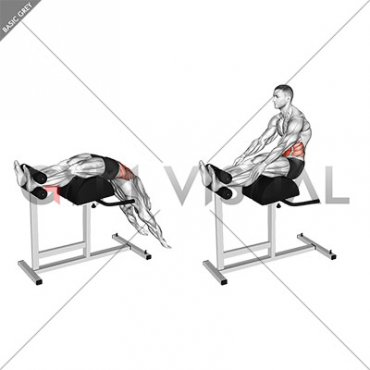 Glute Ham Developer Full Sit up