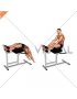 Glute Ham Developer Full Sit up