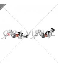 Weighted Plate Lying Crunch (female)