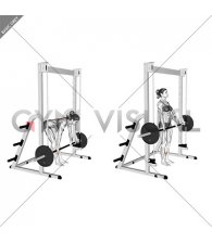 Smith Stiff Legged Deadlift (female)