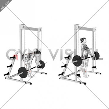 Smith Stiff Legged Deadlift (female)
