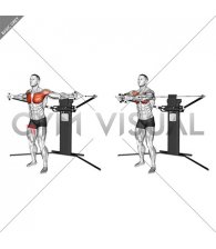 Cable Standing Fly (VERSION 3)