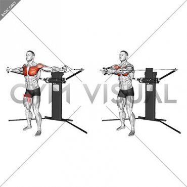 Cable Standing Fly (VERSION 3)