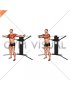 Cable Standing Fly (VERSION 3)