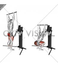 Cable Overhead Squat (VERSION 3)
