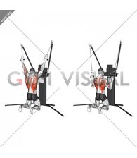 Cable Kneeling Pulldown (VERSION 3)