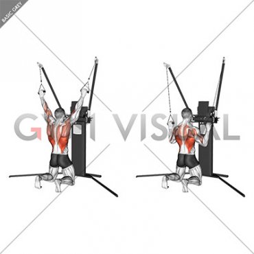 Cable Kneeling Pulldown (VERSION 3)