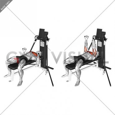 Cable Bench Press (VERSION 3)