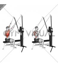 Cable Seated High Row (VERSION 3)