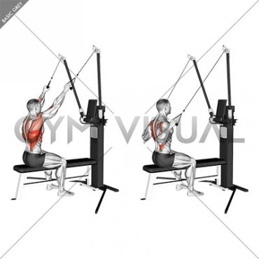 Cable Seated High Row (VERSION 3)