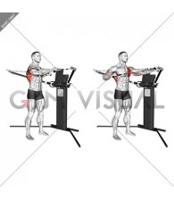 Cable Standing Push Pull (VERSION 3)