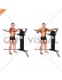 Cable Standing Push Pull (VERSION 3)