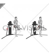 Cable Standing Hip Extension (VERSION 3)