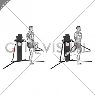 Cable Standing Hip Extension (VERSION 3)