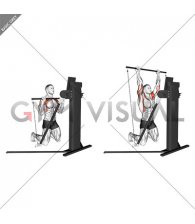 Cable Kneeling Military Press (VERSION 3)