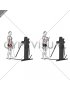 Cable Standing Biceps Curl (rope attachment) (VERSION 3)