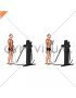 Cable Standing Biceps Curl (rope attachment) (VERSION 3)