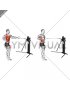 Cable Single Arm Row with Rotation (VERSION 3)