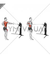 Cable Single Arm Row with Rotation (VERSION 3)