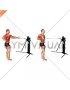 Cable Single Arm Row with Rotation (VERSION 3)
