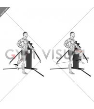 Cable Standing Hip Flexion (VERSION 3)