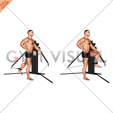 Cable Standing Hip Flexion (VERSION 3)