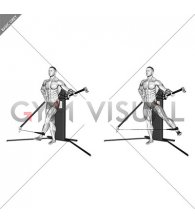 Cable Standing Hip Abduction (VERSION 3)