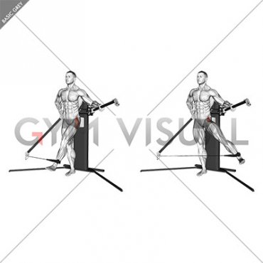 Cable Standing Hip Abduction (VERSION 3)