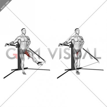 Cable Standing Hip Adduction (VERSION 3)