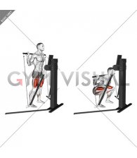 Cable Squat (VERSION 3)