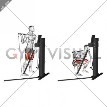 Cable Squat (VERSION 3)