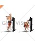 Cable Squat (VERSION 3)