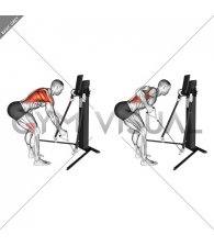 Cable Bent Over Single Arm Row (VERSION 3)