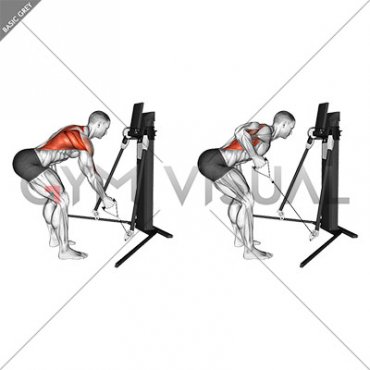 Cable Bent Over Single Arm Row (VERSION 3)