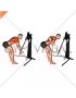 Cable Bent Over Single Arm Row (VERSION 3)