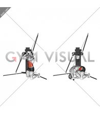 Cable Kneeling Crunch (VERSION 3)