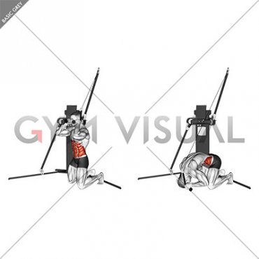 Cable Kneeling Crunch (VERSION 3)