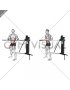 Cable Standing Torso Twist (VERSION 3)