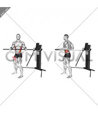 Cable Standing Torso Twist (VERSION 3)