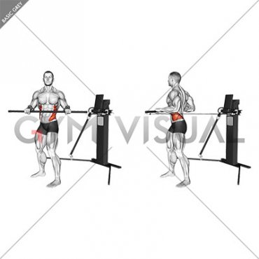 Cable Standing Torso Twist (VERSION 3)
