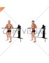 Cable Standing Torso Twist (VERSION 3)