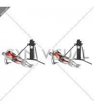 Cable Side Plank Row (VERSION 3)